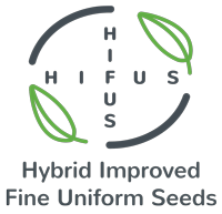 HIFU Seeds